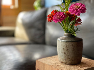 Spring Session 2: Pots for Plants-Adults 16 + Beginner to intermediate